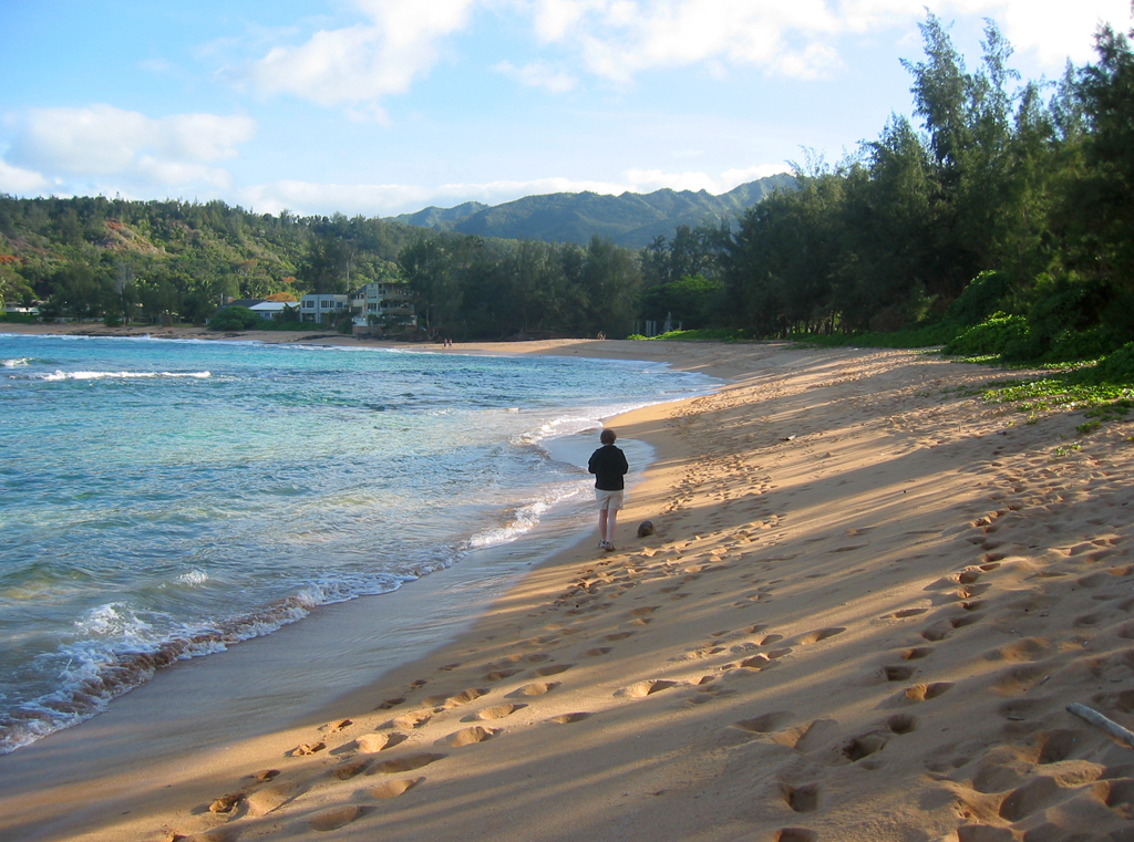 Hawaii-Kauai-Moloaa-beach