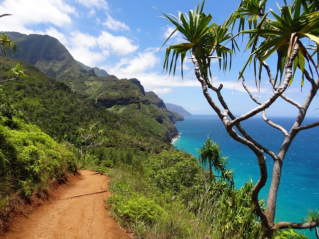 Napali Coast - Kauai - Hawai